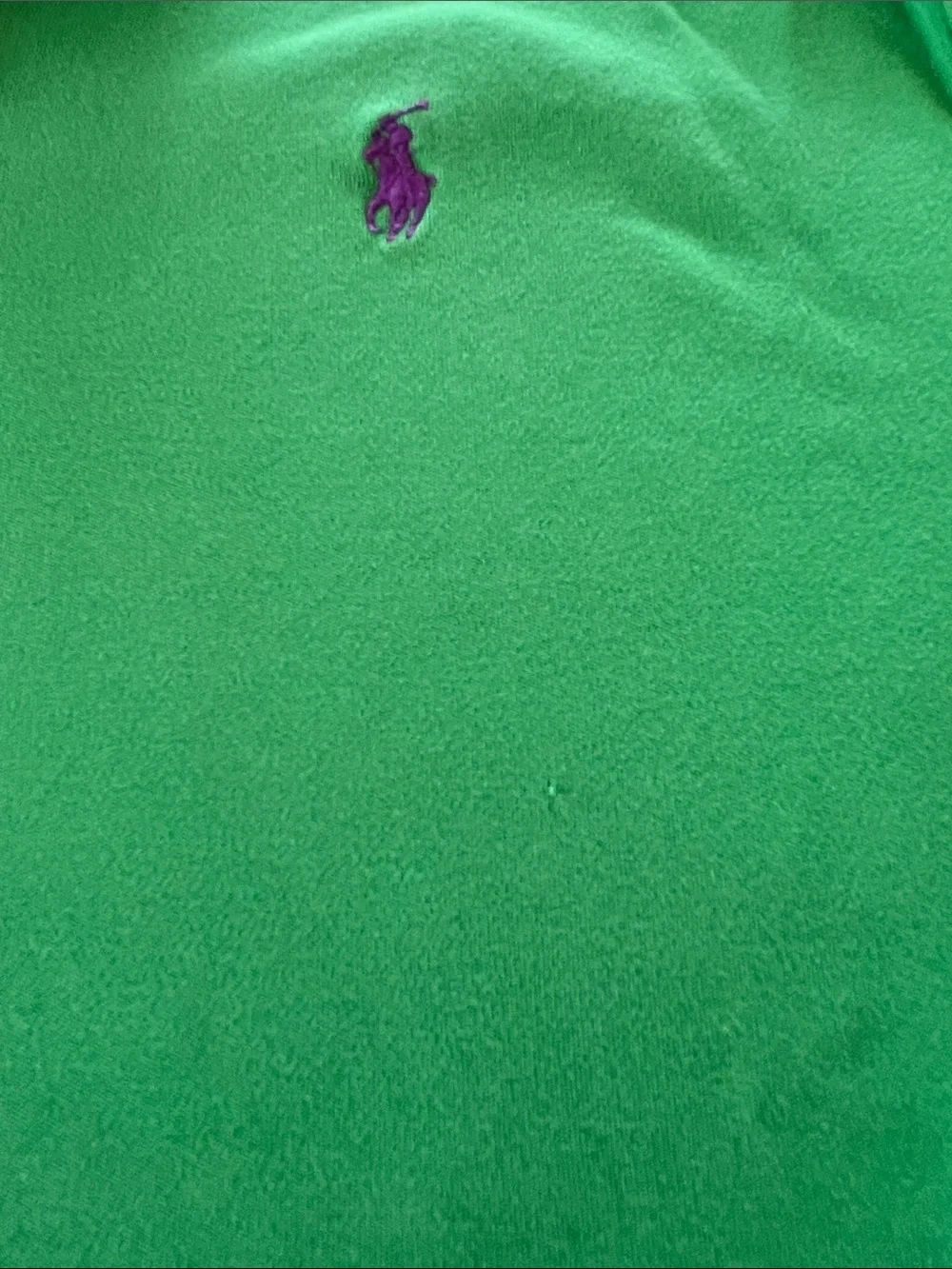 Polo Ralph Lauren Green Polo Shirt Men's Small Purple Pony Classic Fit Cotton